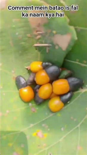 my first mini vlog😚😘😍🥰🤗☺️