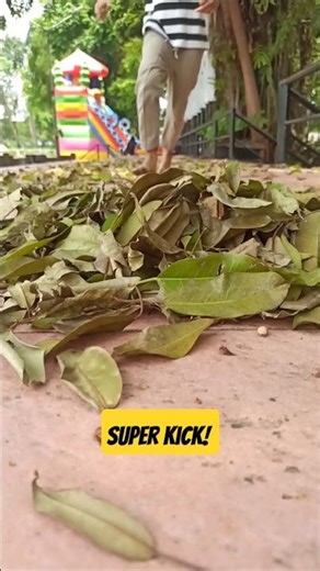 🔴 LEAF KICKING #satisfying #kick #kickleaf #kickball #fplb#epl #daungugur #daunkering #daunviral