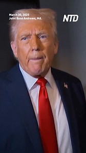 64K views · 774 reactions | President Donald Trump answered questions from the media while flying back to Joint Base Andrews aboard Air Force One. | NTD Life | Facebook