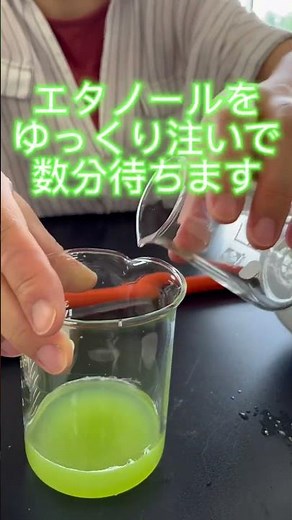 ブロッコリーのDNAが見えた！#生物基礎 #実験 #DNA #授業風景 #農業高校 #会津坂下 #高校生活