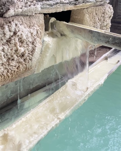 旅するPorco on Instagram: ". 本日(12/6)夜7時YouTube 「福島栃木の旅 最終回」UPします！ 最終日も日帰り入浴へ♨️ この旅3度目の鹿の湯源泉の湯 やっぱり最高だわ🤤 鹿の湯は地元の人も観光客も多めなので 同じ源泉を引いてる周辺の宿の日帰り入浴が狙い目 運よく誰もいなくて独泉できました🙌 他にもいろいろ寄り道〜♪ 20個限定の焼き立てチーズケーキ 栃木のソウルドリンク そして…那須の超超有名ベーカリーも🎸 最終日も盛り沢山なので ぜひ動画ご覧くださいね🤗 #栃木旅 #鹿の湯源泉"