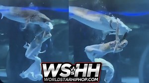 Woah: Woman In Mermaid Costume Gets Her Head Bit By A Huge Fish In Aquarium!