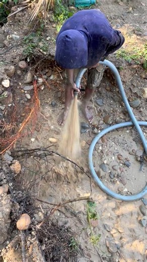 Gold mining : Gold prospecting process. #gold #goldpanning