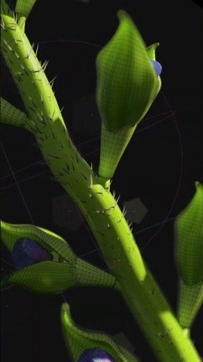 INSYDIUM Design Team - Flower Opening