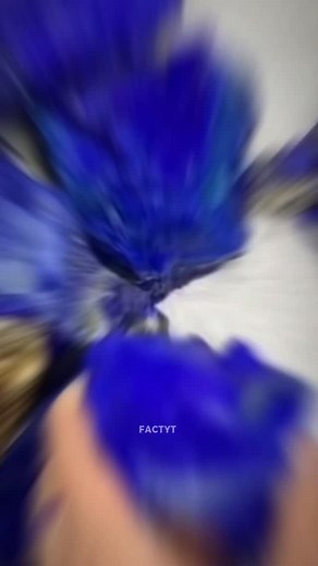 Ancient Artists Used This Secret for Royal Blue #RoyalBlue #AncientArt #ArtHistory #ColorSecrets #LapisLazuli #HistoryFacts #AncientMysterie #Shorts #TrendingShorts #DidYouKnow | Fact Yt