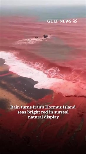 Gulf News on Instagram: "Heavy rains on Hormuz Island in southern Iran transformed parts of the island’s shoreline — known locally as Red Beach — into a vivid crimson tide, captivating visitors and viewers across social media. Videos and images shared online show rainwater washing rich red mineral soils from the slopes into the nearby sea, coloring both the water and sandy shore an intense red hue. Read all about it - Link in bio 🔗 #redsea #iran #hormuzisland"