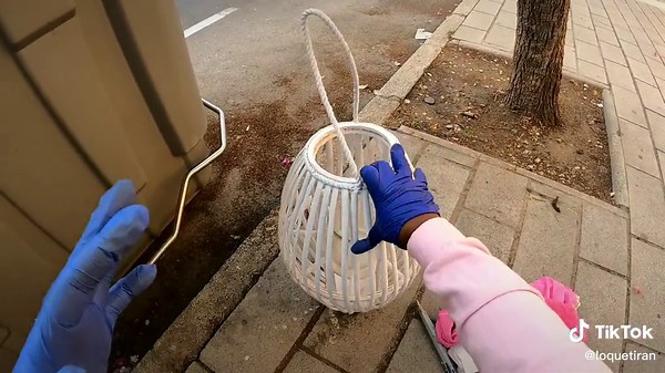 Waste Management Tips: Proper Disposal Techniques