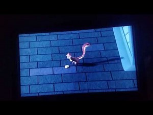 Over the Hedge - Backyard Obstacle Course (U.S./🇺🇸)