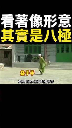 看著像形意拳，其實全是八極拳！掌門逐幀解析傳統武術的真實招式 #形意拳 #八極拳