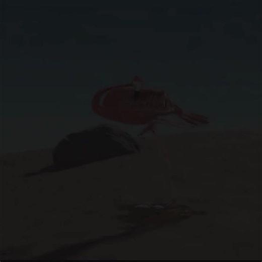 Conoce el Edit Básico: Tips y Trucos