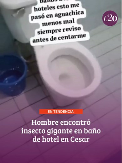 😱 Un viajero en Aguachica, Cesar, grabó el momento exacto en el que un enorme ciempiés sale del sanitario tras golpear la taza con un palo. El insecto estaba oculto, lo que ha despertado una ola de comentarios sobre la higiene y el mantenimiento en los servicios de hospedaje de la zona 🦟 🤔 ¿Le ha pasado algo similar en un hotel? Lo leemos. . . #Aguachica #Denuncia #Colombia #Turismo #Las2orillas