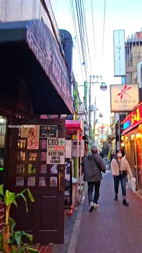 Omiya-ku,Saitama 🇯🇵 #travelblog #traveling #travel #Beautiful #world #Travel #omiya #saitama #japan | Visual Japan