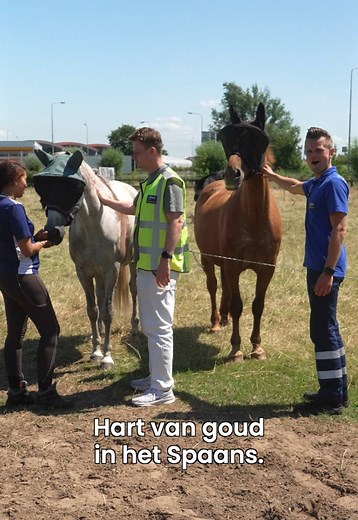 Autopech voor Natalie tijdens het paardrijden