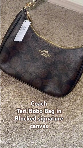 Coach - Teri Hobo Bag In Blocked Signature Canvas