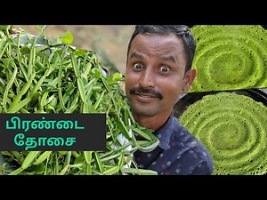 பெண்கள் பிரச்சனையை தீர்க்கும் பிரண்டை தோசை | PIRANDAI DOSAI | Adamant Creeper Dosa Recipe