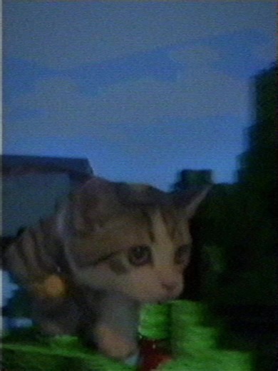 #cat #minecraft