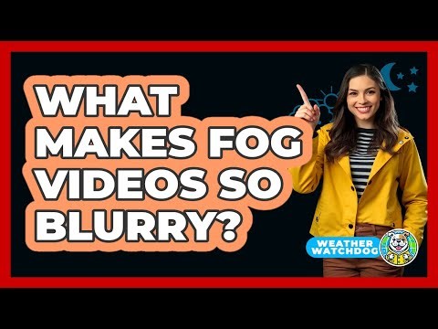 What Makes Fog Videos So Blurry? - Weather Watchdog