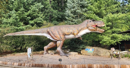 See life-sized animatronic dinosaurs at Akron Zoo this summer