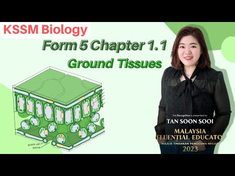 [English] KSSM Form 5 Biology Chapter 1.1 Ground Tissues (Note + Question）
