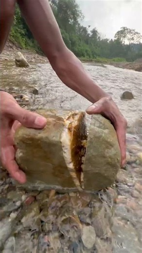 gold prospecting for beginner ✅🧽