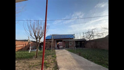 Woman trips while chasing sheep in Henan, China