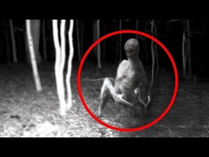 Sind sie unter uns? – 10 rätselhafte Fotos von angeblich echten Aliens
