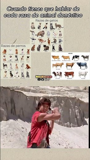 ¿Existen las razas?