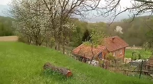 Prođo Bosnom kroz gradove 🎻🎶🎼🎤 | Balkanski Informer