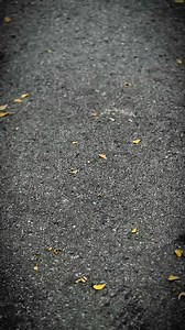 VARIRO | 🥹✨❤️‍🔥🚦 #click #Variro #foryou #netclick | NET CLICK