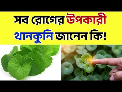 থানকুনি পাতার ৯টি আশ্চর্য গুণ | সুপারফুডের স্বাস্থ্য উপকারিতা, ব্যবহার ও সতর্কতা