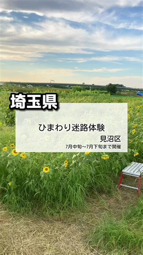 埼玉のひまわり畑訪問ガイド