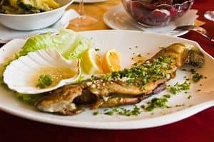 Trout vs Bass – What’s The Difference? Let’s Compare