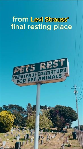 Secret Pet Graveyard in Colma, CA