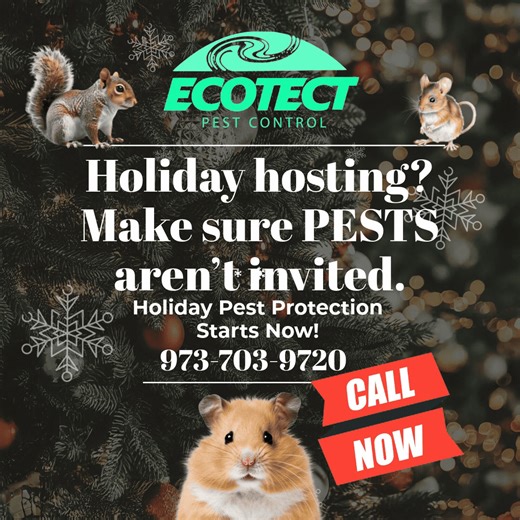 Holiday hosting? Make sure pests aren’t invited. 🎄🐜Eco-friendly protection that keeps your home pest-free all season long.👉 Book now | Limited holiday availability! 📞 Call us at 973-703-9720. 🎁 Holiday Pest Protection Special.For a limited time, we’re offering seasonal pest control services designed to: -Prevent rodents from nesting indoors -Eliminate ants, roaches, & spiders -Protect pantries during holiday cooking & baking -Give you peace of mind while hosting or traveling ✅ Safe for fami