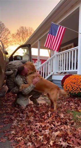 He Finally Came Home… and His Dog Never Stopped Waiting ❤️❤️❤️