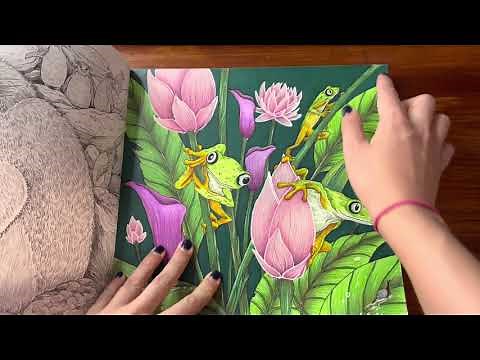 Coloring book collection and completed pages - Update as of 2022, Part 1