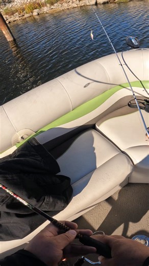 I saw a bass tournament releasing fish a got a 4 POUNDER? #bassfishing #bigbass | Fishing with Forrest