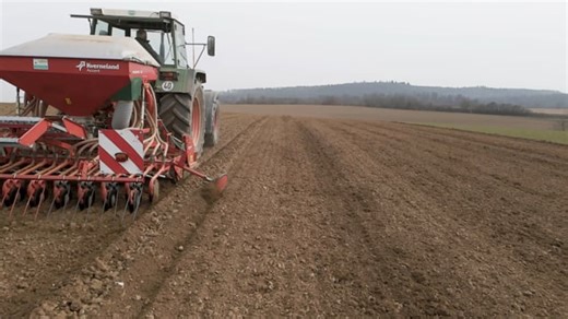Barley Seed Sowing Free Stock Video