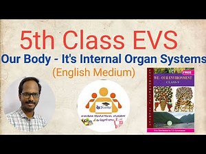5th Class EVS || Our Body - It's Internal Organ System ||EM || @AnandhaEducationalAcademy