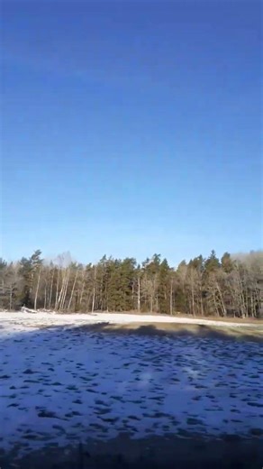 Swedish forest during spring #stockholm #swedishnature #naturelovers #spring #bustravel #sweden