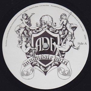 The Drones - Live At The Annandale Hotel, Sydney 18th, 19th October 2007