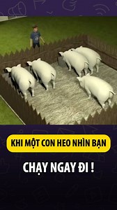 15K views · 105 reactions | Khi một con heo nhìn bạn, chạy ngay đi ! | Còi Béo Review | Facebook