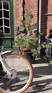Bike Sale bringer Batribike Omega helt ned i pris! 🤍 Lige nu får du den klassiske elcykel i hvid til kun 7.999 kr. (før 9.999 kr.) Perfekt til studie, job og alt derimellem – med komfortabel køreposition og motor, der trækker dig frem 🚲 Mere medvind på cykelstien? Ja tak! Tilbuddene gælder fra d. 14. august - 27. august 2025. | Fri BikeShop