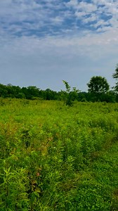 1.6K views | Ohio Hiking Trails and Historical Sites. on Reels | Facebook