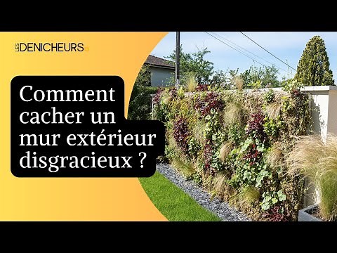 🧱Cacher un mur extérieur disgracieux : nos astuces !💡