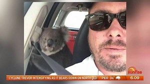 The South Australian man returned to his car to find a koala enjoying the aircon in the back seat. 🐨 Straya! | Sunrise
