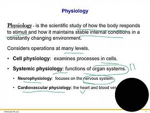 The Human Organism - Anatomy and Physiology (Ch. 1)