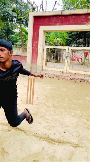 New Fun Cricket Tricks You Must See!