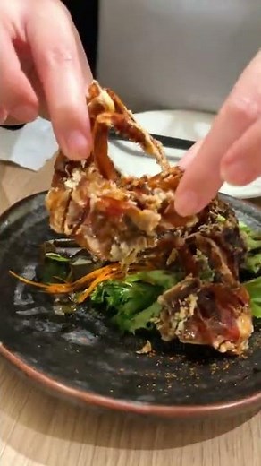 Japas, Makimono , Sashimi, Yakitori at Hakurin TTDI