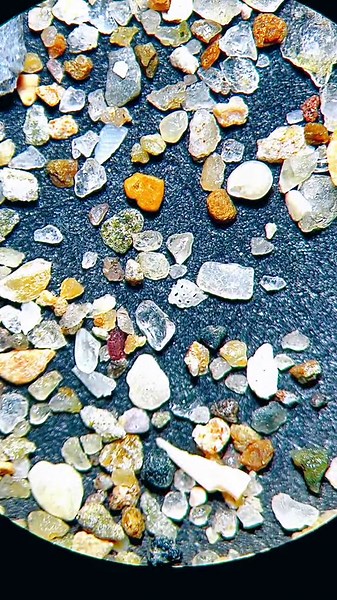 Beach Sand Is a Totally Different World Under the Microscope